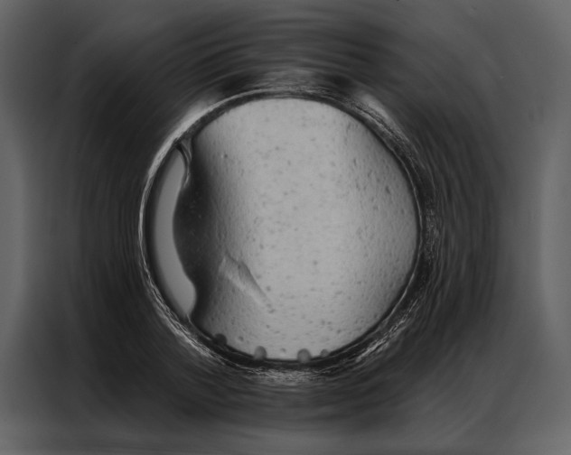 X0000087000788200705071505