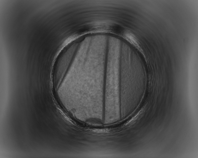 X0000087000789200705071505