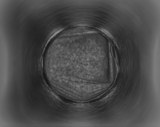 X0000087000790200705071505