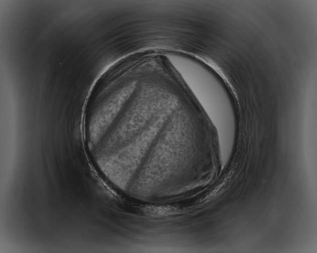 X0000087000791200705071505