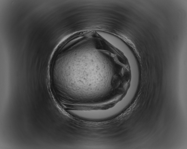 X0000087000792200705071505