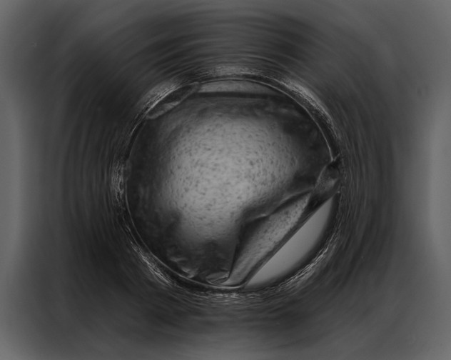 X0000087000793200705071505