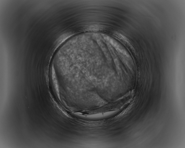 X0000087000794200705071505