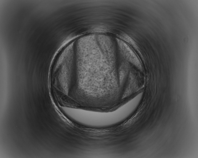 X0000087000795200705071505