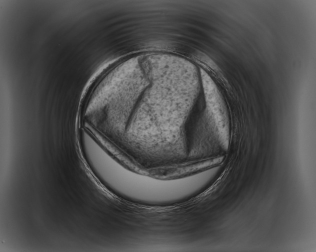 X0000087000796200705071505