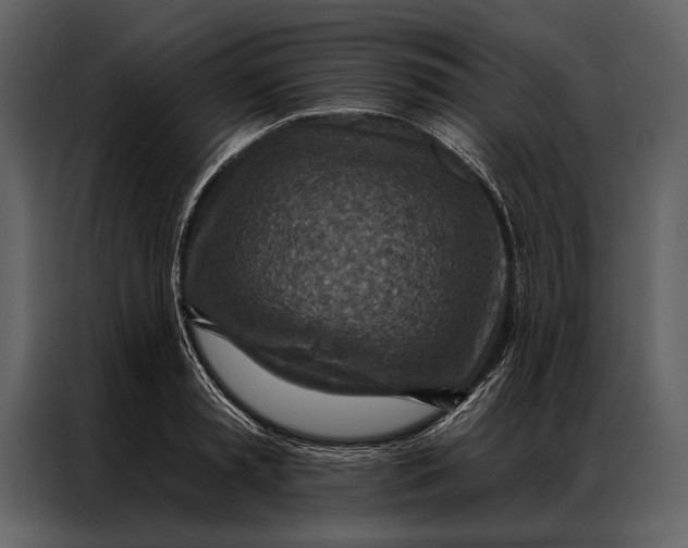 X0000087000797200705071505