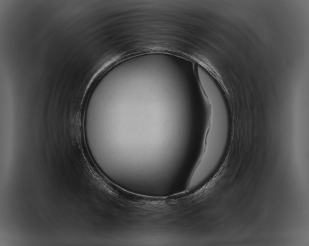 X0000087000798200705071505