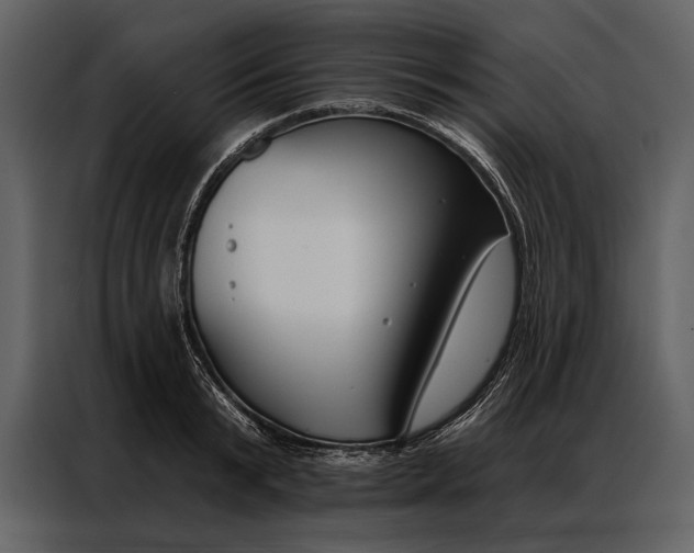 X0000087000799200705071505