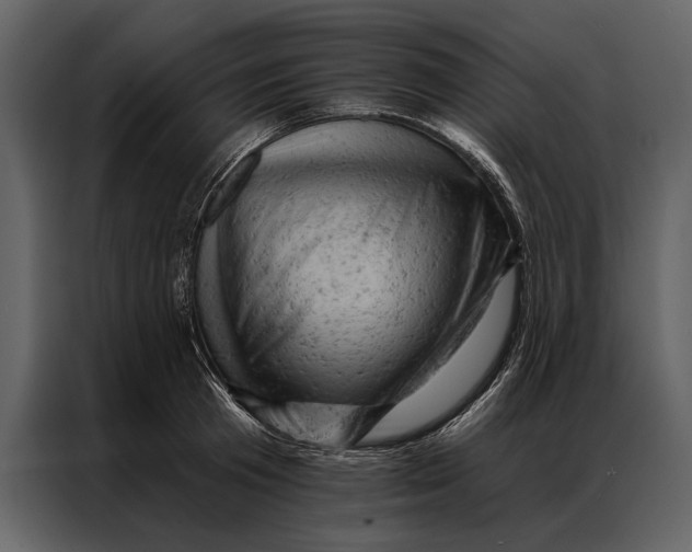 X0000087000801200705071505