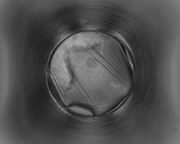 X0000087000802200705071505