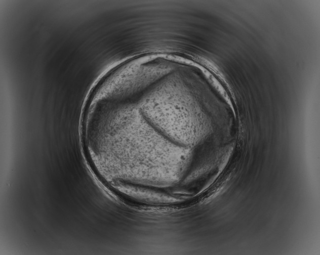 X0000087000803200705071505