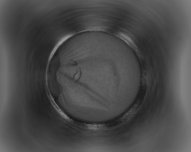 X0000087000804200705071505