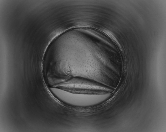 X0000087000805200705071505