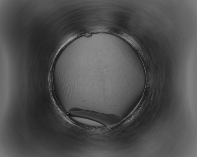 X0000087000806200705071505