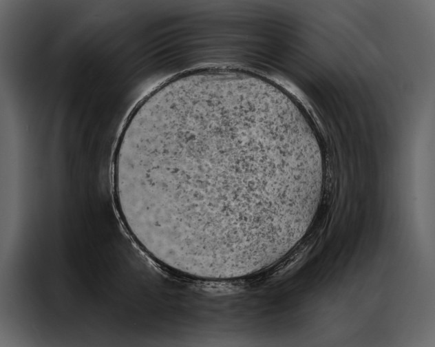 X0000087000807200705071505