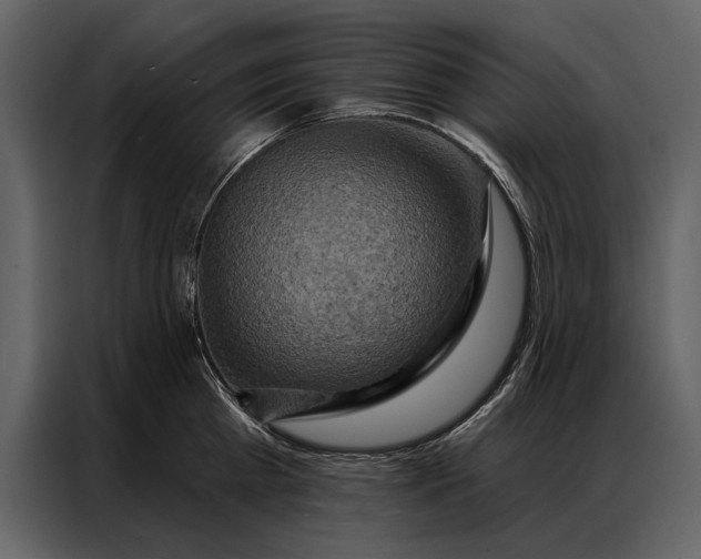 X0000087000809200705071505