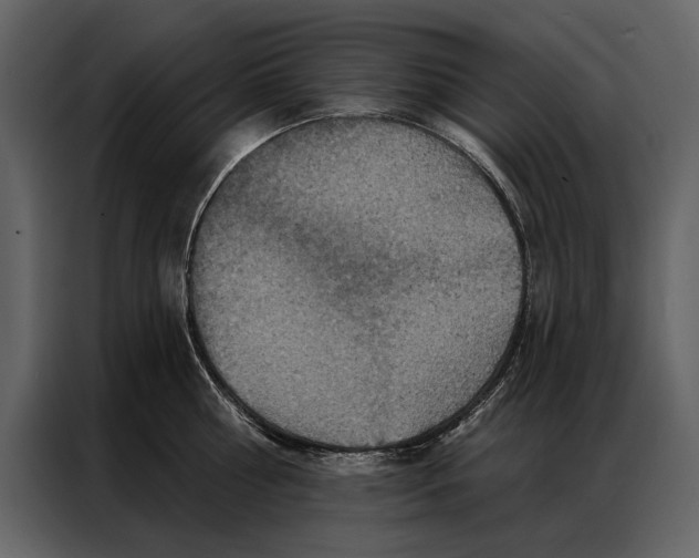 X0000087000810200705071505