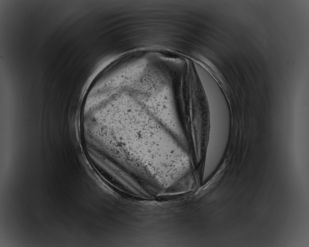 X0000087000812200705071505