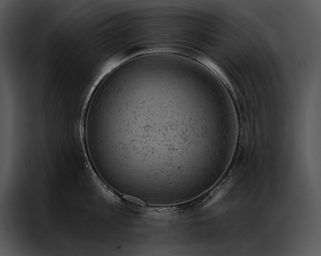 X0000087000813200705071505