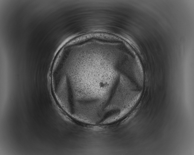 X0000087000814200705071505