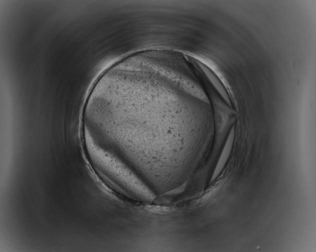 X0000087000815200705071505