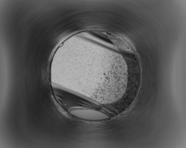 X0000087000816200705071505