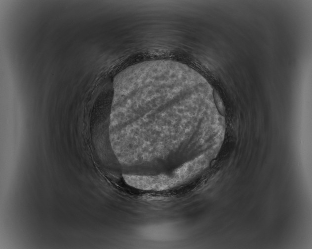 X0000087000817200705071504