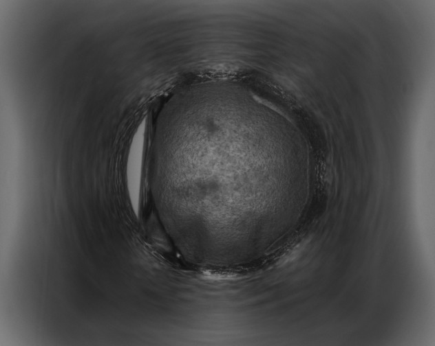 X0000087000818200705071504