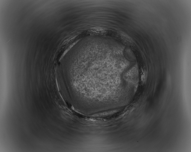 X0000087000819200705071504