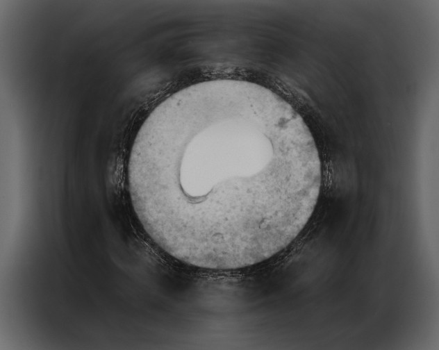 X0000087000820200705071504