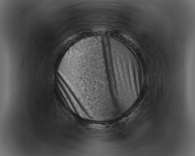 X0000087000821200705071504