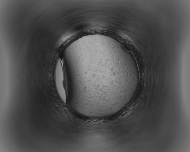 X0000087000822200705071504