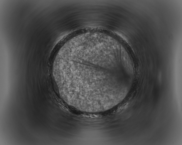 X0000087000823200705071504