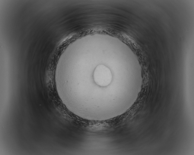 X0000087000824200705071504