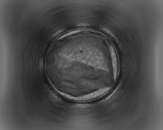 X0000087000825200705071504