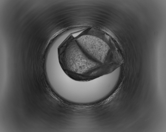 X0000087000826200705071504