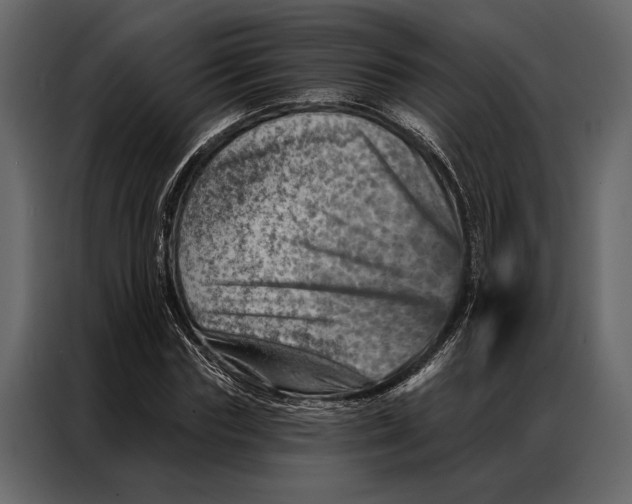 X0000087000827200705071504