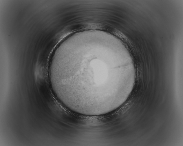 X0000087000828200705071504