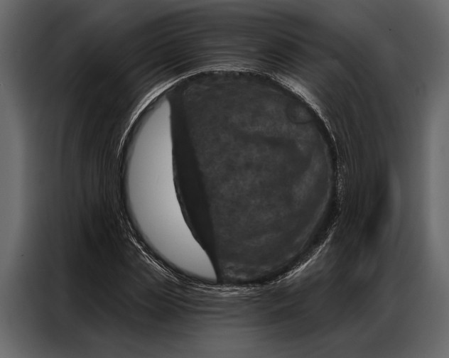 X0000087000829200705071504