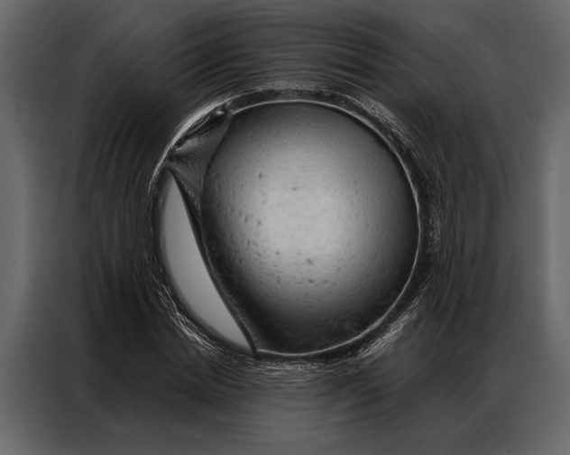 X0000087000830200705071504