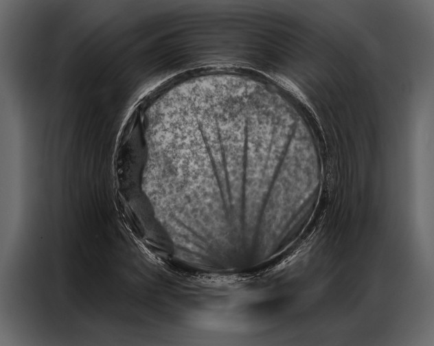 X0000087000831200705071504