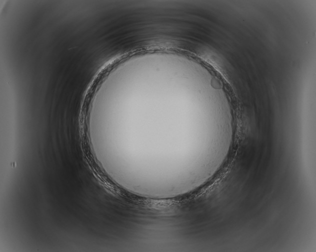 X0000087000832200705071504