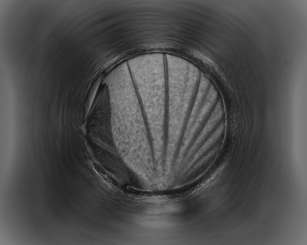 X0000087000833200705071504