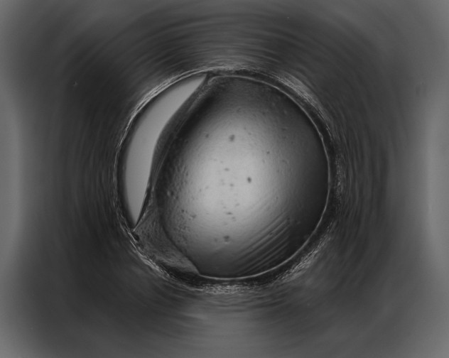 X0000087000834200705071504