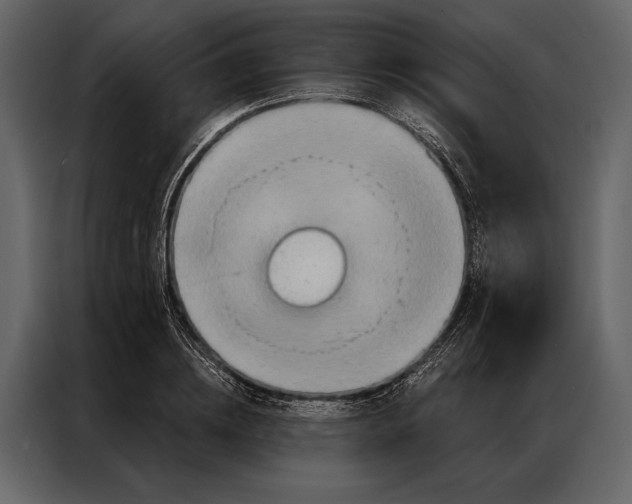 X0000087000836200705071504