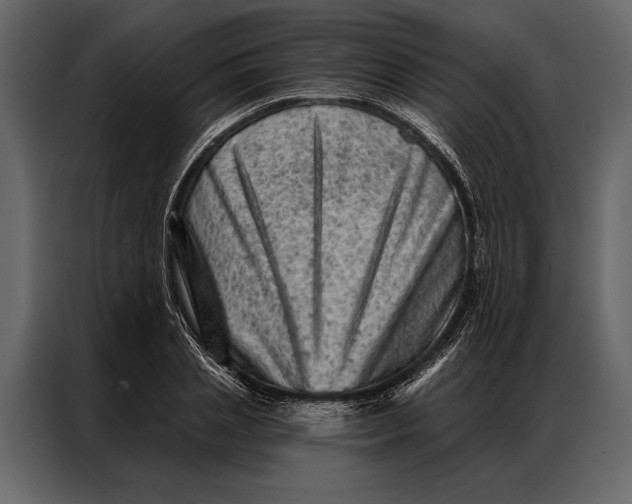 X0000087000837200705071504