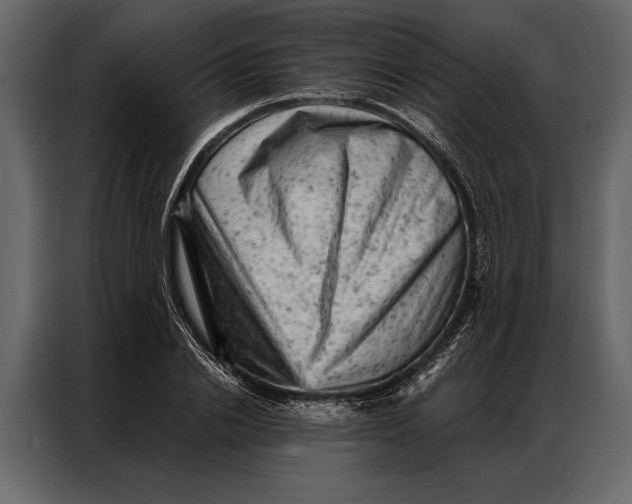 X0000087000838200705071504