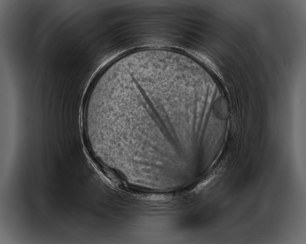 X0000087000839200705071504