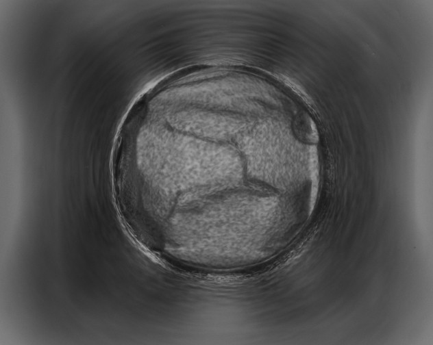 X0000087000840200705071504