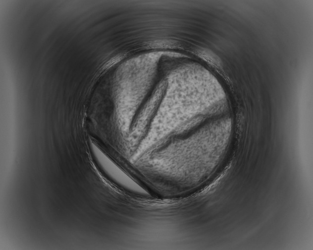 X0000087000841200705071504